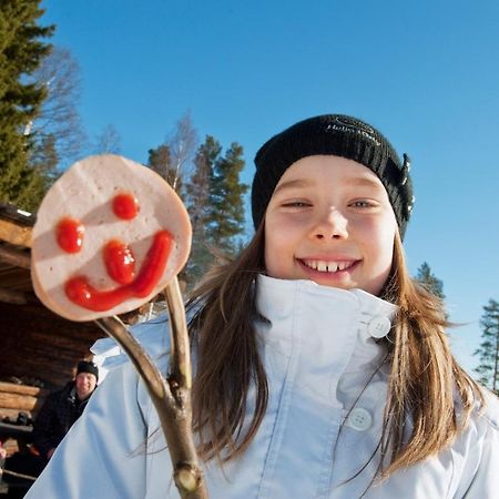 Skelleftea Camping Экстерьер фото